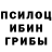 Псилоцибиновые грибы Psilocybe dmatt92