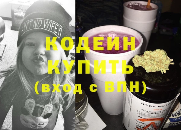 индика Кукмор