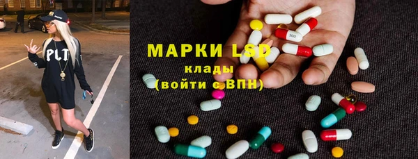 индика Кукмор