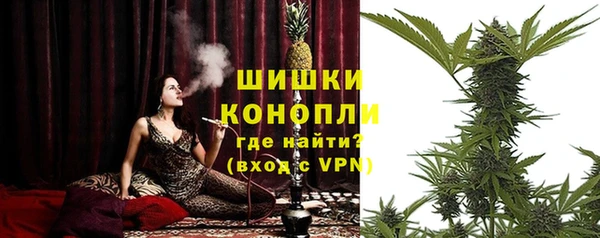 спайс Кулебаки