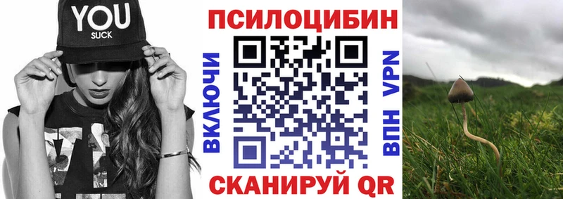 Псилоцибиновые грибы GOLDEN TEACHER  Купить  Клин 
